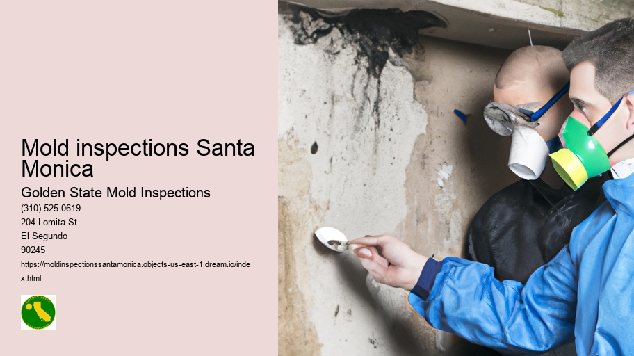 Mold inspections Santa Monica